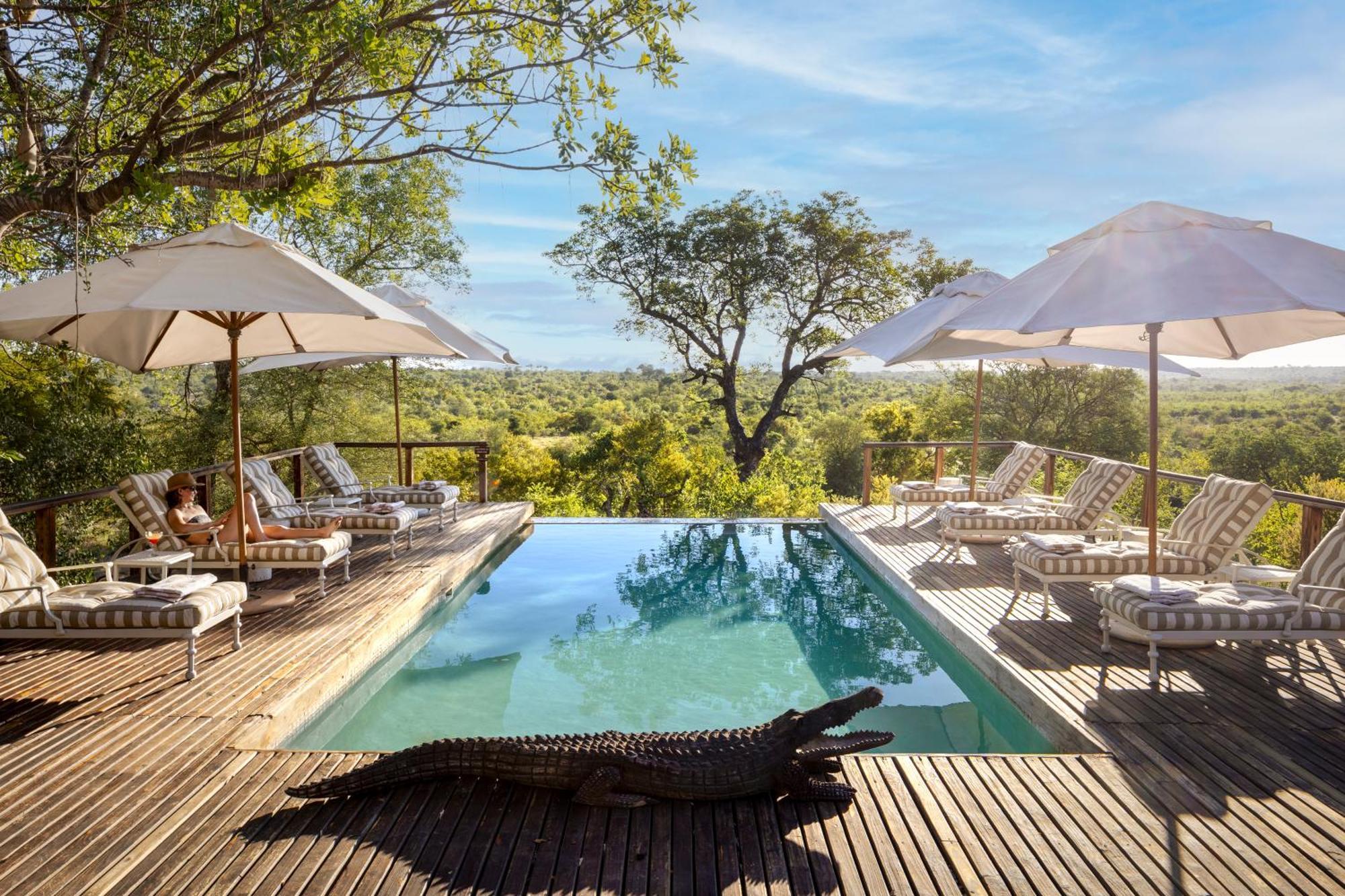 Simbavati Hilltop Lodge Timbavati Game Reserve Luaran gambar