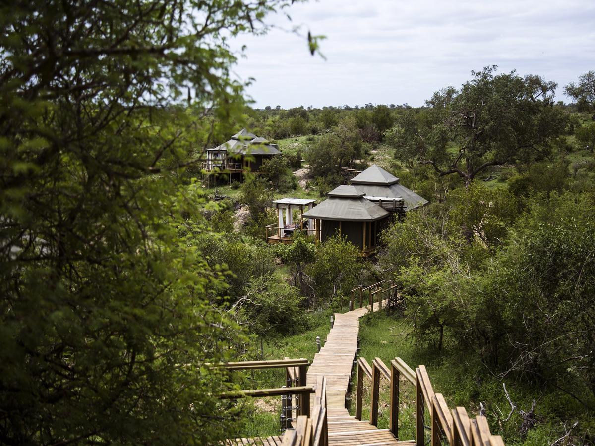Simbavati Hilltop Lodge Timbavati Game Reserve Luaran gambar