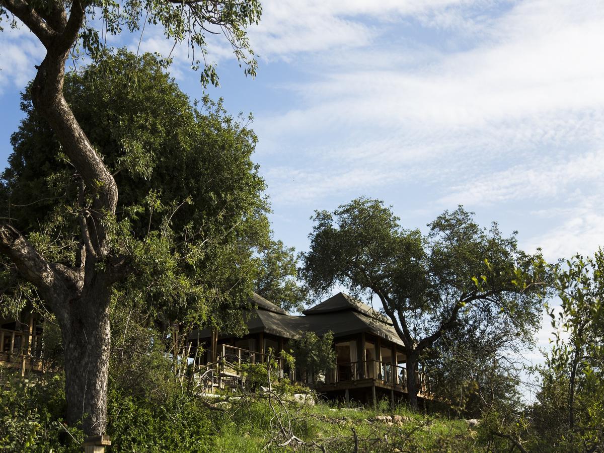 Simbavati Hilltop Lodge Timbavati Game Reserve Luaran gambar