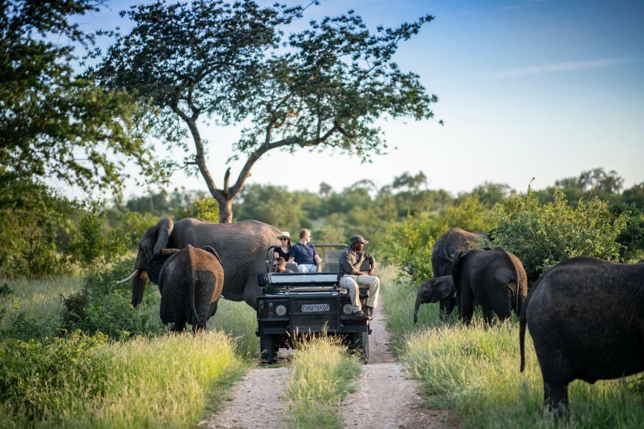 Simbavati Hilltop Lodge Timbavati Game Reserve Luaran gambar